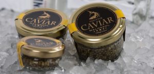 sturgeon black caviar on ice 2